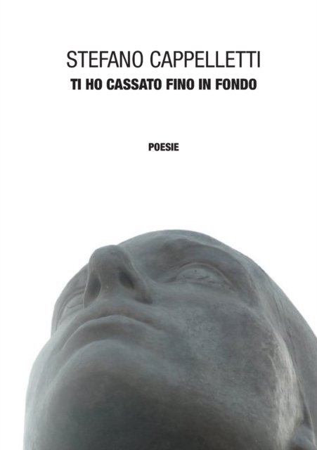 Cover for Stefano Cappelletti · Ti Ho Cassato Fino in Fondo (Paperback Bog) (2015)