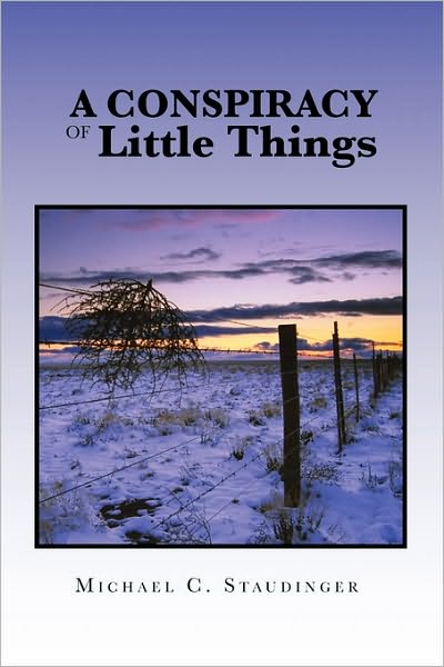 Cover for Michael C. Staudinger · A Conspiracy of Little Things (Paperback Book) (2010)