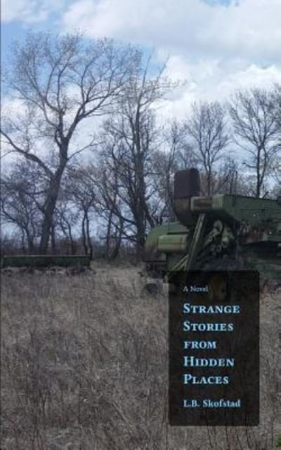 Cover for L B Skofstad · Strange Stories from Hidden Places (Paperback Bog) (2016)
