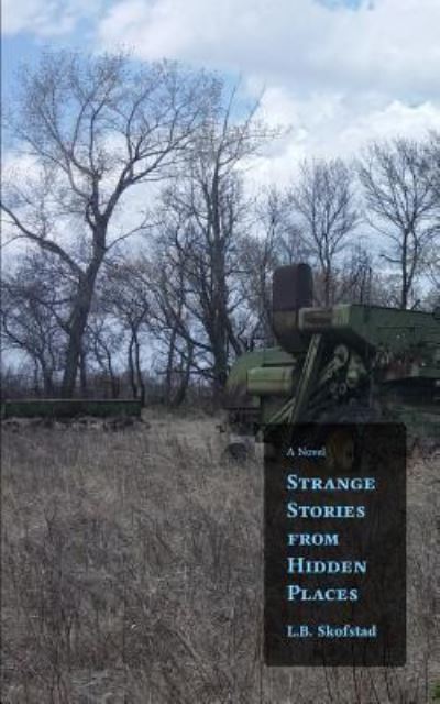 Cover for L B Skofstad · Strange Stories from Hidden Places (Paperback Book) (2016)