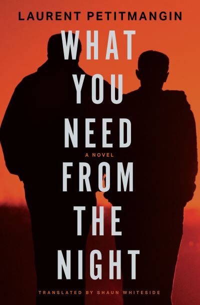 Cover for Laurent Petitmangin · What You Need from the Night (Book) (2023)