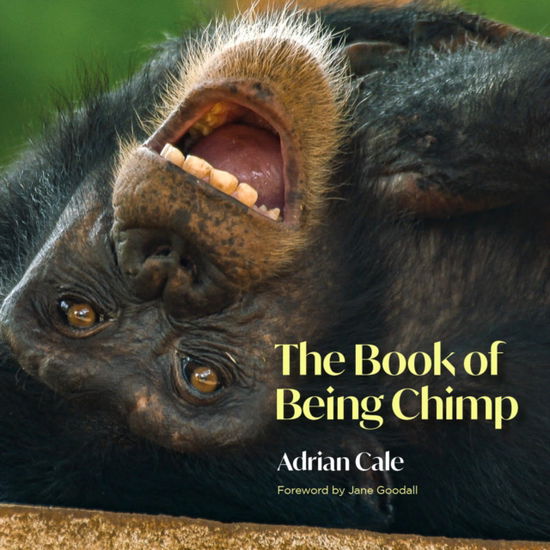 The Book of Being Chimp - Adrian Cale - Books - Pupfish Publishing - 9781739220501 - March 5, 2024