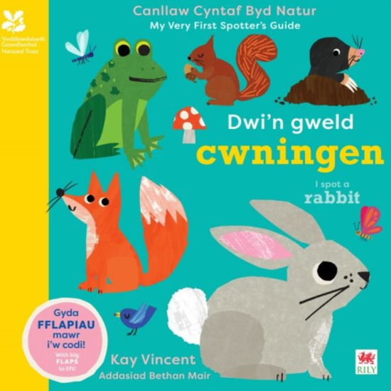 Cover for Yr Ymddiriedolaeth Genedlaethol · Dwi'n Gweld Cwningen / I Spot a Rabbit (Board book) [Bilingual edition] (2025)