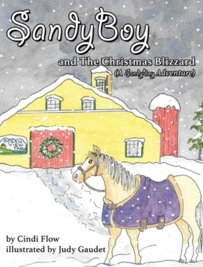Cover for Cindi Flow · SandyBoy and the Christmas Blizzard (A SandyBoy Adventure) (Hardcover bog) (2021)