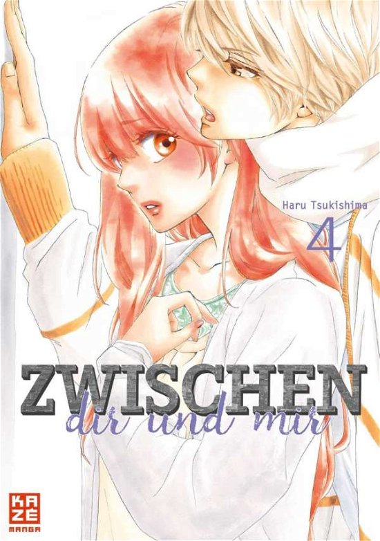 Cover for Tsukishima · Zwischen dir und mir 04 (Buch)