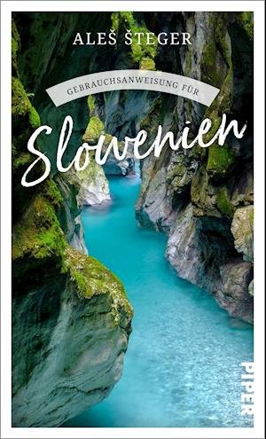Cover for Ales Steger · Gebrauchsanweisung für Slowenien (Paperback Book) (2022)