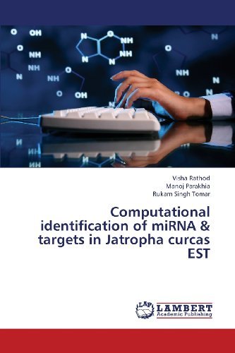 Cover for Rukam Singh Tomar · Computational Identification of Mirna &amp; Targets in Jatropha Curcas Est (Taschenbuch) (2013)