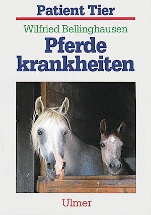 Cover for Wilfried Bellinghausen · Pferdekrankheiten (Paperback Book) (1996)