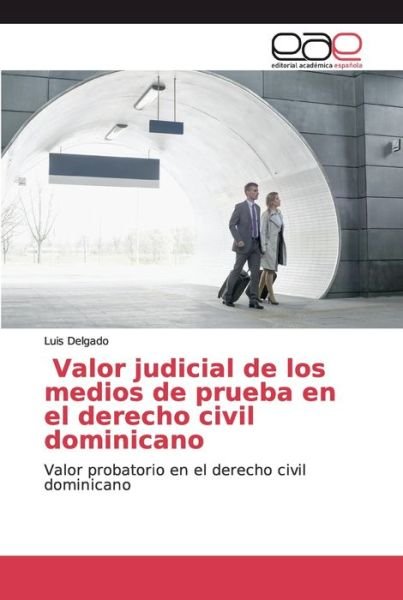 Cover for Luis Delgado · Valor judicial de los medios de prueba en el derecho civil dominicano (Paperback Book) (2019)