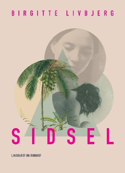 Cover for Birgitte Livbjerg · Sidsel (Hæftet bog) [2. udgave] (2017)