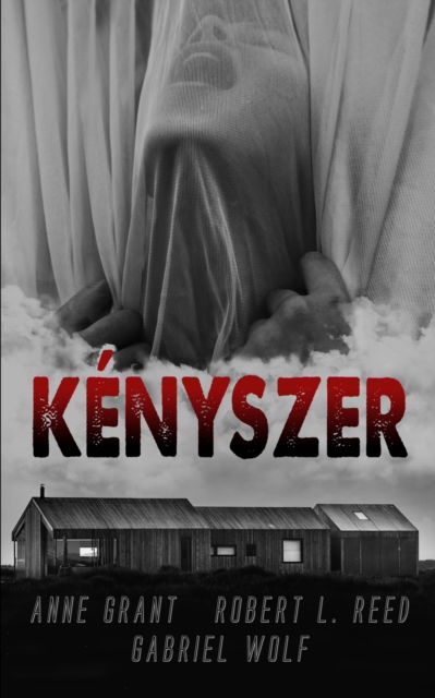 Kenyszer - Anne Grant - Gabriel Wolf - Livres - Blurb - 9798211935501 - 23 août 2024