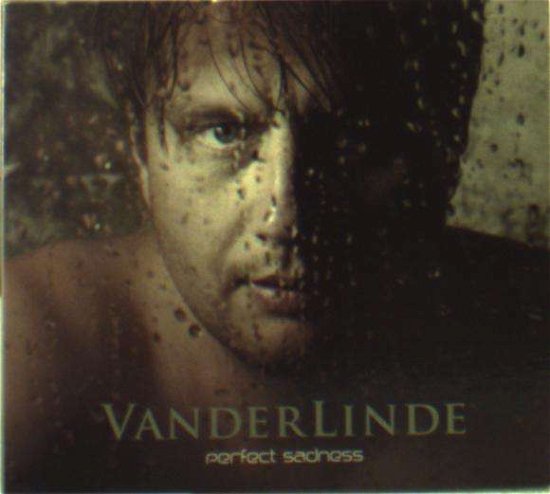 Cover for Vanderlinde · Perfect Sadness (CD) [Digipak] (2013)