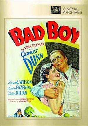 Cover for Bad Boy (DVD) (2015)