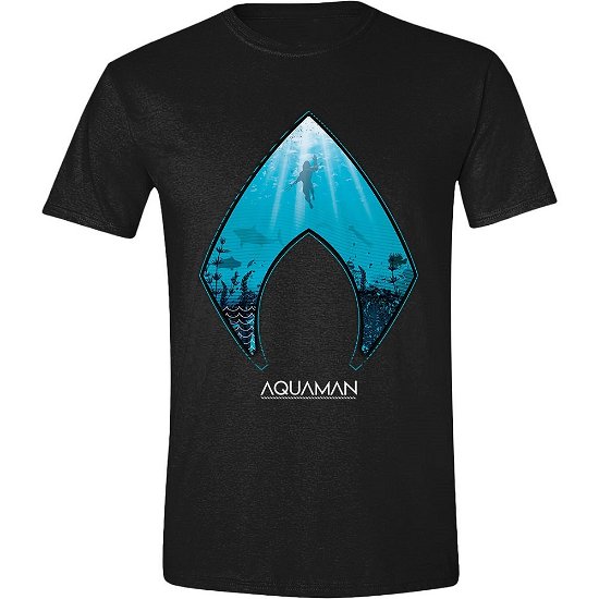 Cover for Dc Comics: Aquaman · Ocean Logo Black (T-Shirt Unisex Tg. 2XL) (N/A)