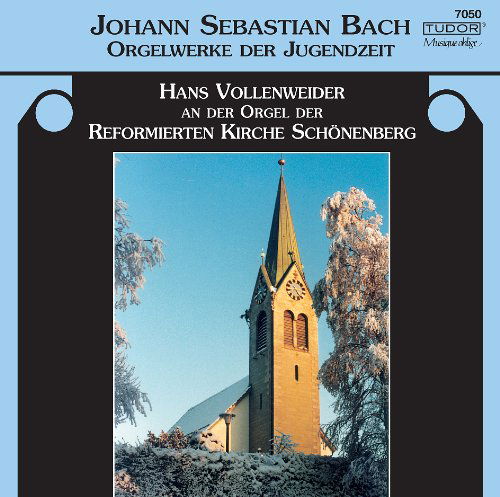 Sammartini: Concerto grazioso - Hans Vollenweider - Music - Tudor - 7619911070502 - June 22, 2004