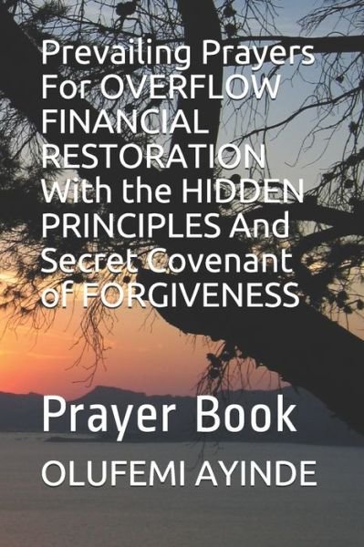 Cover for Olufemi Ayinde · Prevailing Prayers For OVERFLOW FINANCIAL RESTORATION With the HIDDEN PRINCIPLES And Secret Covenant of FORGIVENESS (Paperback Book) (2019)