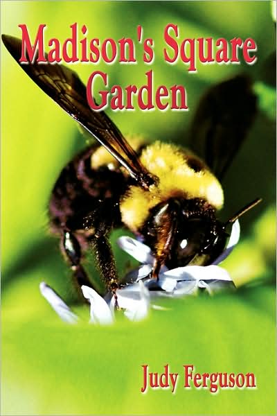 Cover for Judy Ferguson · Madison's Square Garden (Paperback Book) (2008)