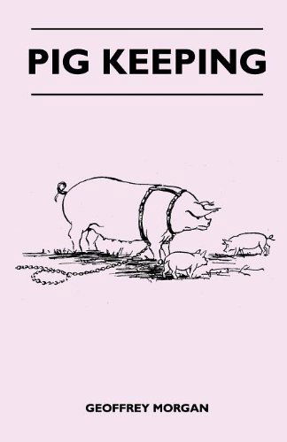 Cover for Geoffrey Morgan · Pig Keeping (Paperback Book) (2022)