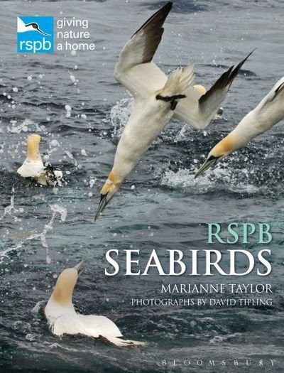 Cover for Marianne Taylor · RSPB Seabirds - RSPB (Inbunden Bok) (2018)