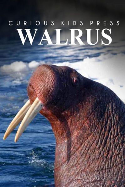 Cover for Curious Kids Press · Walrus - Curious Kids Press (Paperback Book) (2014)