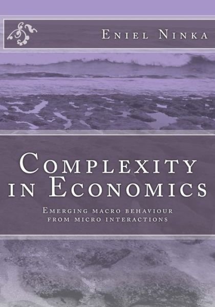 Cover for Eniel Ninka · Complexity in Economics: Emerging Macro Behaviour from Micro Interactions (Paperback Bog) (2012)