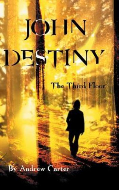 Cover for Andrew Carter · John Destiny : The Third Floor (Hardcover Book) (2016)