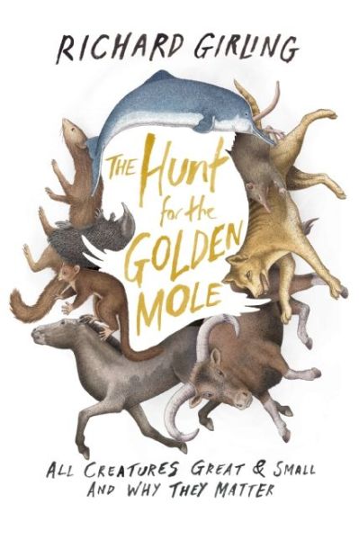 Cover for Richard Girling · The Hunt for the Golden Mole: All Creatures Great &amp; Small and Why They Matter (Hardcover Book) (2014)