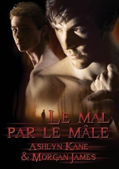 Mal Par Le Mle (Translation) - Ashlyn Kane - Livres - Dreamspinner Press - 9781634762502 - 4 mars 2015