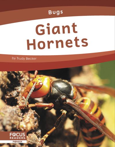 Giant Hornets - Trudy Becker - Książki - North Star Editions - 9781637394502 - 2023