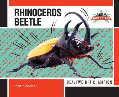 Cover for Paige V Polinsky · Rhinoceros Beetle (Hardcover Book) (2016)