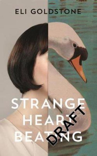 Cover for Eli Goldstone · Strange Heart Beating (Pocketbok) (2018)