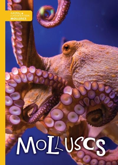 Cover for Madeline Tyler · Molluscs - Animal Classification (Paperback Book) (2018)