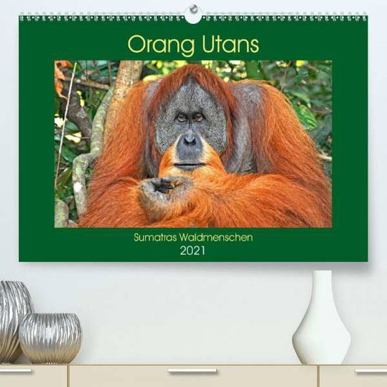 Cover for Edel · Orang Utans Sumatras Waldmenschen (Book)