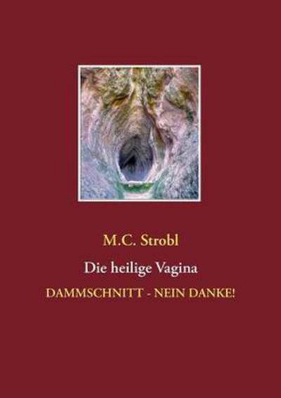 Cover for Strobl · Die heilige Vagina (Book) (2016)