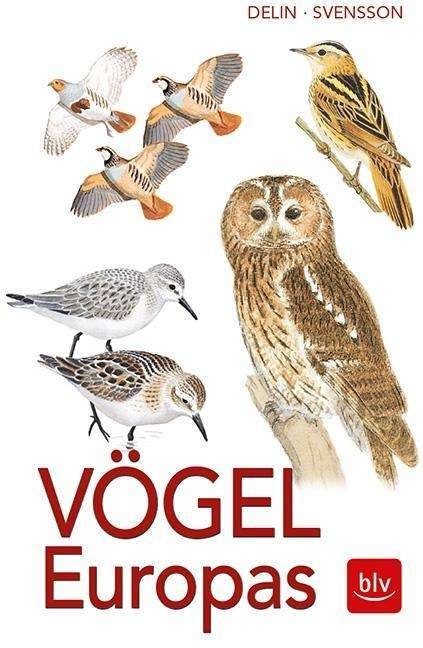 Cover for Lars Svensson · Vögel Europas (Paperback Book) (2017)