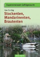 Stockenten, Mandarinenten, Brautenten - Uwe Conring - Livros - Oertel Und Spoerer GmbH - 9783886275502 - 1 de março de 2010