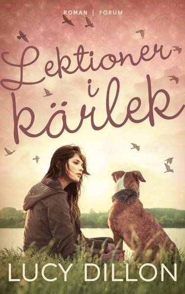 Cover for Lucy Dillon · Lektioner i kärlek (Buch) (2021)