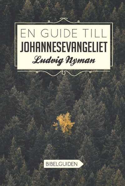 Cover for Ludvig Nyman · En guide till Johannesevangeliet (Paperback Book) (2019)