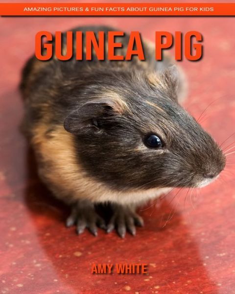 Cover for Amy White · Guinea Pig (Paperback Book) (2020)