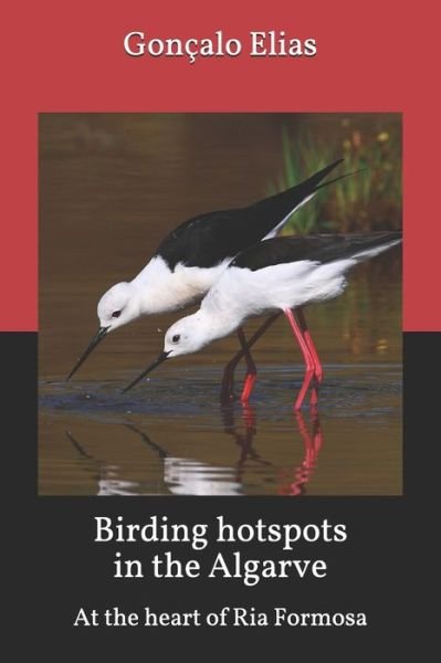 Birding hotspots in the Algarve - Goncalo Elias - Bücher - Independently Published - 9798633947502 - 23. April 2020