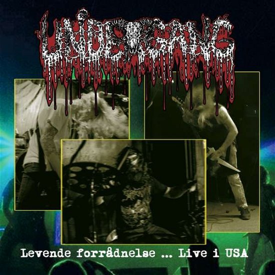 Cover for Undergang · Levende forradnelse...Live i USA (LP) (2021)