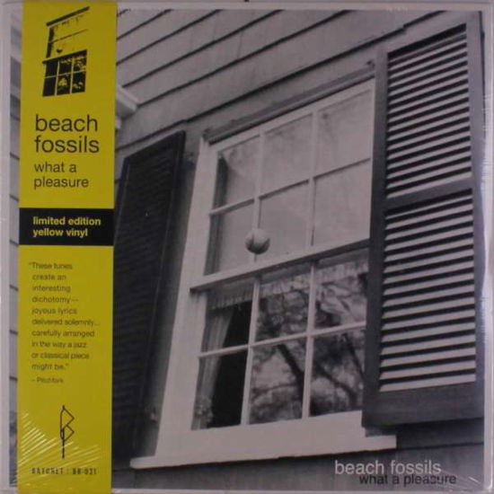 What A Pleasure - Beach Fossils - Musikk - BAYONET - 0859575005503 - 30. november 2018