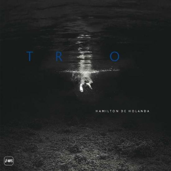 Trio - Hamilton De Holanda - Musik - EARMUSIC - 4029759105503 - 1. december 2017