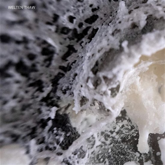Cover for Welten · Thaw (CD) (2022)