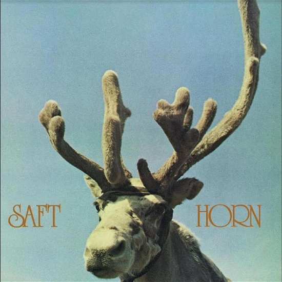 Horn - Saft - Musikk - Big Dipper Records - 7059136210503 - 20. oktober 2023