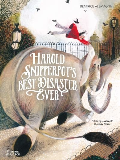 Cover for Beatrice Alemagna · Harold Snipperpot’s Best Disaster Ever (Paperback Book) (2021)