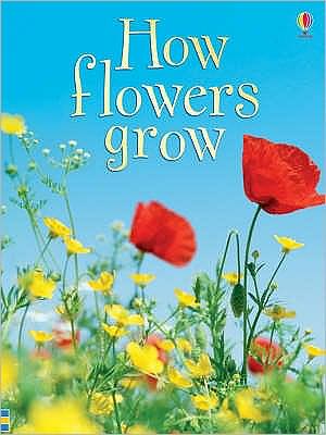 Cover for Emma Helbrough · How Flowers Grow - Beginners (Paperback Book) [New edition] (2006)