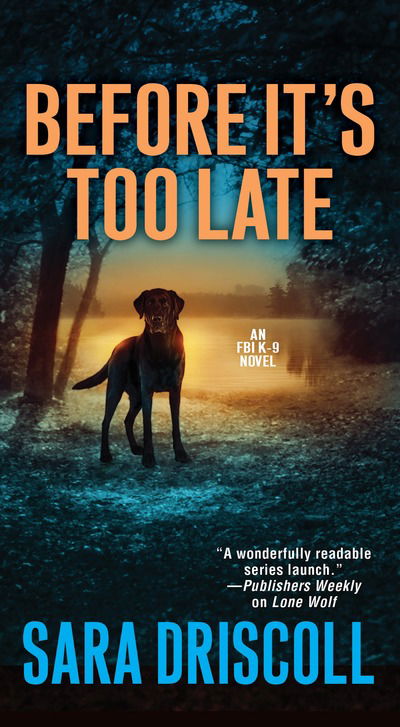 Cover for Sara Driscoll · Before It's Too Late (Pocketbok) (2018)