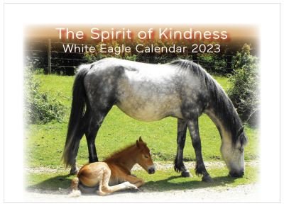 Cover for White Eagle · The Spirit of Kindness -  White Eagle Calendar 2023 (Spiralbuch) (2022)