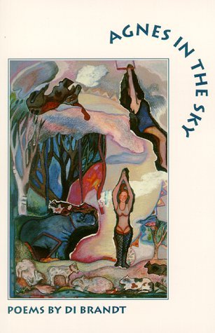 Cover for Di Brandt · Agnes in the Sky (Pocketbok) (1990)